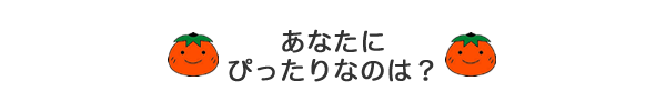 あなたにぴったりなのは？